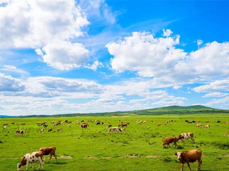 内蒙古,尊贵相聚,共话友谊