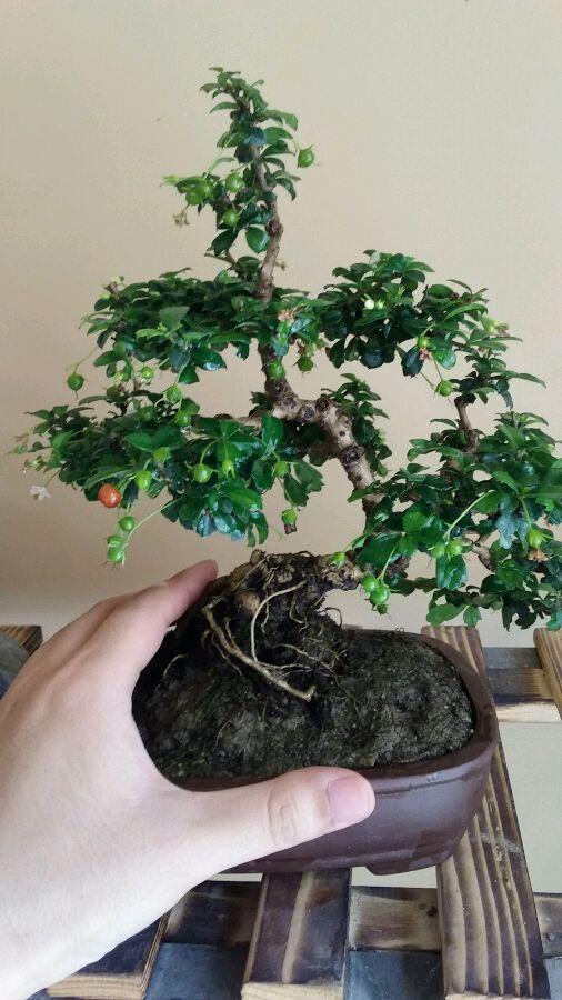 探索福建之美，大学生视角下的福建印象